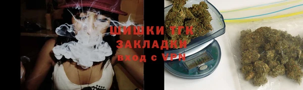 винт Пересвет