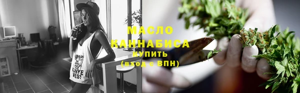 винт Пересвет