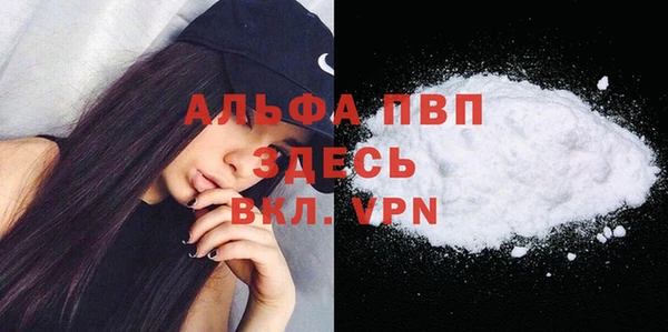 винт Пересвет