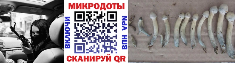 Купить закладки Сысерть Псилоцибиновые грибы Psilocybe
